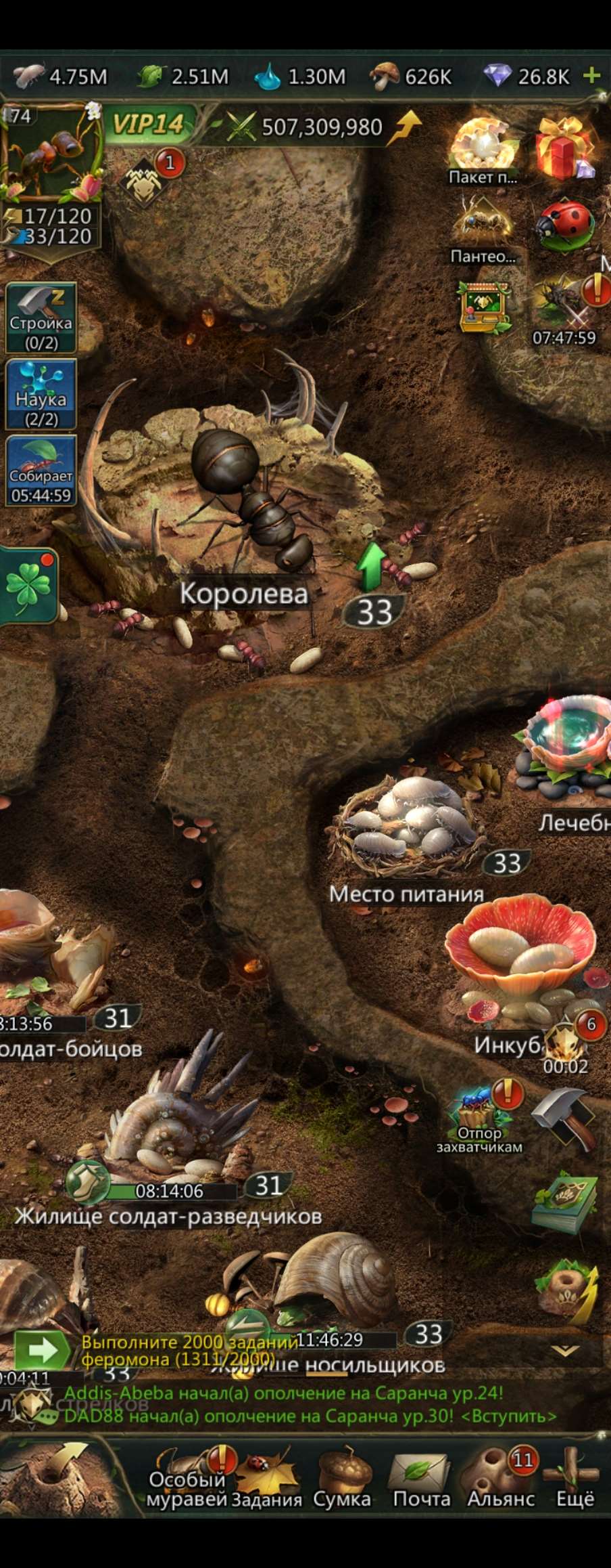 продажа аккаунта к игре Ant Legion